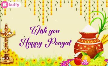 Pongal.Gif GIF - Pongal Happy pongal Pongal wishes - Discover & Share GIFs