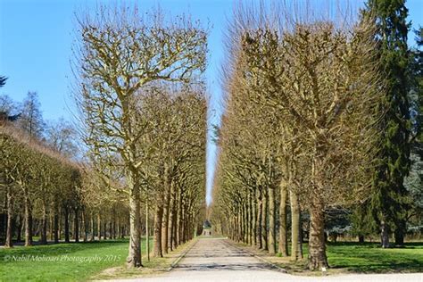 Parc de Sceaux | Nabil Molinari | Flickr