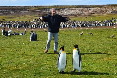 Where to Find Penguins in the Falkland Islands – Jam Travel Tips