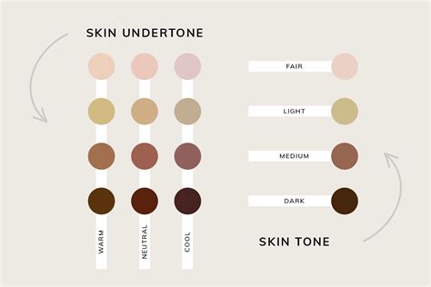 How to Determine Your Skin Tone for Makeup Foundation - Annmarie Gianni