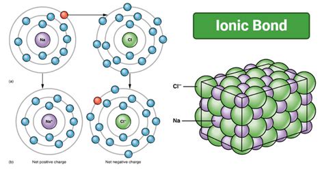Ionic Bond- Definition, properties, formation, examples, applications