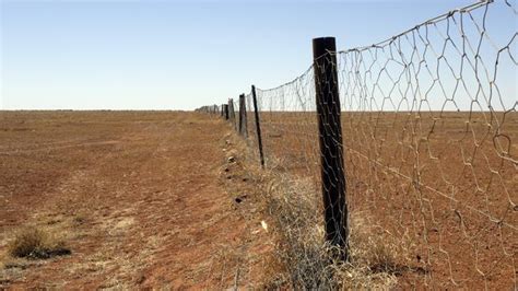 Betoota: Ghost town in QLD is world’s tiniest