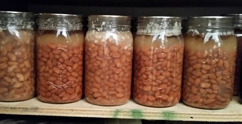 Pressure canning Pinto Beans – SBCanning.com – homemade canning recipes