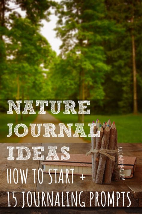 Nature Journal Ideas | How to Start + 15 Journaling Prompts