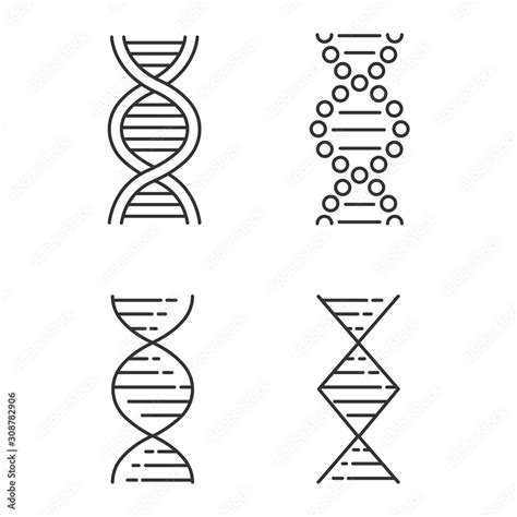 DNA spiral strands linear icons set. Deoxyribonucleic, nucleic acid helix. Molecular biology ...