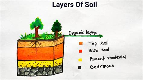 Soil profile diagram drawing | Layers of soil | How to draw soil layer - YouTube