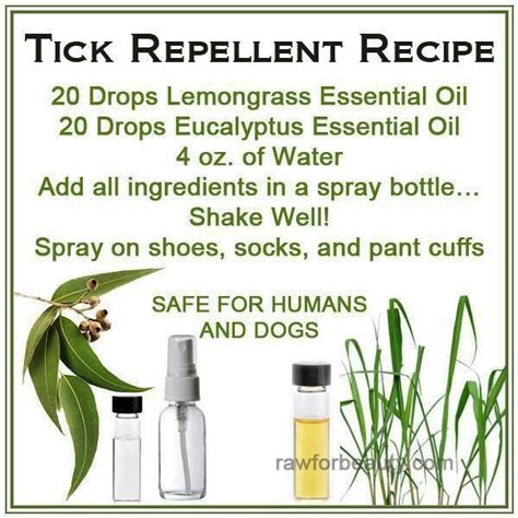 Natural tick repellant | For the Home | Pinterest