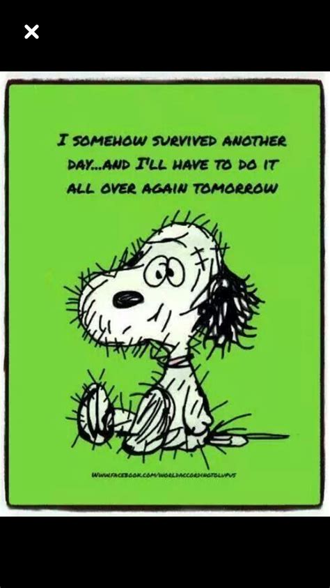 Pin by Lorilee Huffman on Snoopy-isms | Snoopy quotes, Snoopy funny, Snoopy