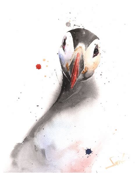 Puffin watercolor print puffin painting puffin gifts puffin | Etsy