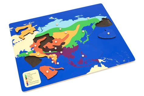 Montessori Materials: Biomes Puzzle Map of Asia