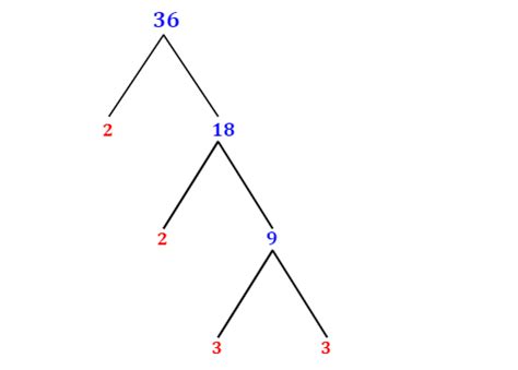 Prime Factorization of 36 with a Factor Tree - MathOnDemand.com