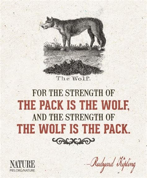 WOLVES QUOTES image quotes at relatably.com