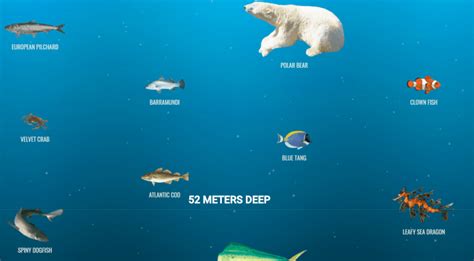 Amazing Website Alert: The Deep Sea by Neal Fun – Content Catnip