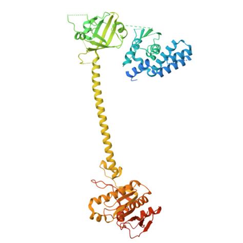 RCSB PDB - 6JT2: Structure of human soluble guanylate cyclase in the NO activated state