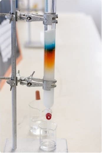 Intro to Lab Techniques – Liquid Column Chromatography – Gebbie Lab ...