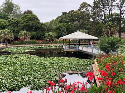 Wollongong Botanic Gardens Lake | What's On in Wollongong