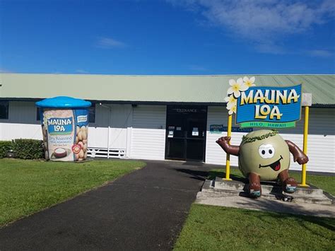 Mauna Loa Macadamia Nut Farm and Factory (Hilo) - All You Need to Know BEFORE You Go