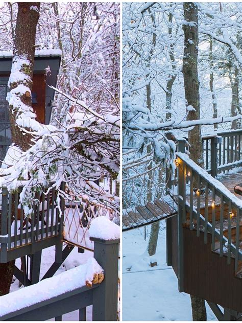 The Most Romantic Winter Treehouse Exists Near Quebec And You Need To ...