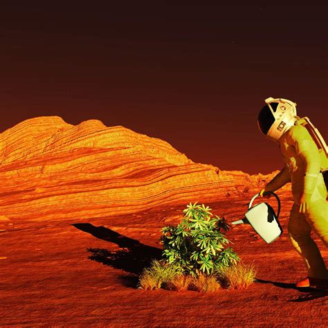 Can We Plant Trees On Mars And Create An Atmosphere? – Australian Research & Space Exploration