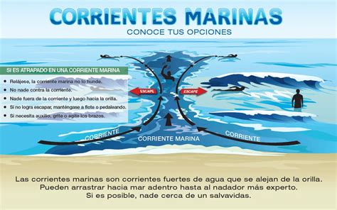 Influencia De Las Corrientes Marinas En La Pesca: Argentina | Dia De Pesca