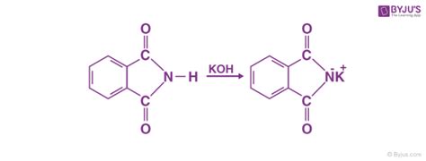 Gabriel Phthalimide Synthesis Mechanism - Explanation and Examples