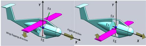 Theoretical and Engineering Approach to Human Power Ornithopter Design