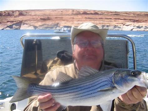 Lake Powell Fishing Report – 3-23-11 – Ambassador Guides at Lake Powell