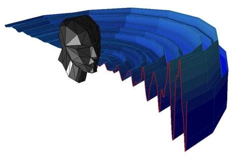 'Seeing with sound': study explores how the blind use echolocation | CTV News