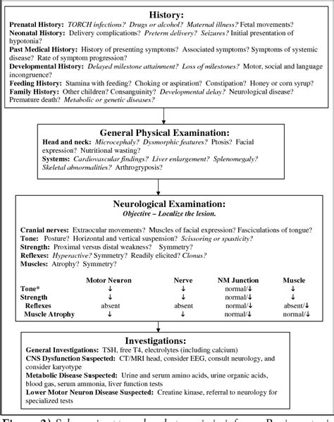 Figure 2 from A schematic approach to hypotonia in infancy. | Semantic Scholar