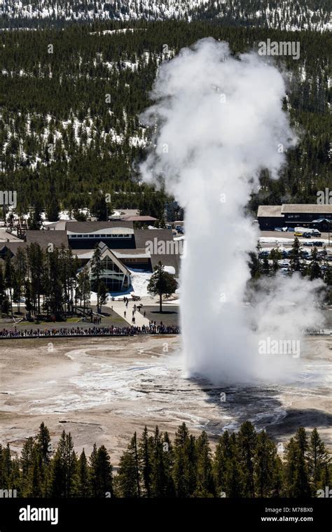 Old Faithful eruption from Observation Point Stock Photo - Alamy