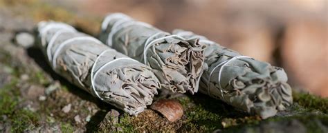 Native American Smudging Ceremonies and Rituals | AromaWeb