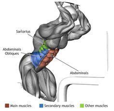 CABLE CRUNCH | Bauchmuskeln, Muskeltraining, Bauchmuskelübungen