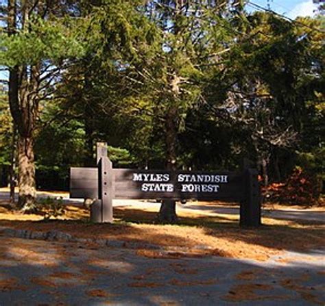 Crews Respond To Fire At Myles Standish State Forest | WATD 95.9 FM