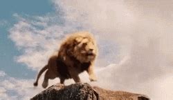 Lion GIFs | GIFDB.com