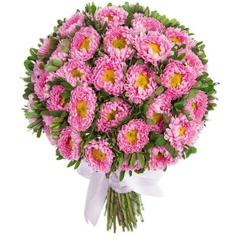 Pink Aster Bouquet – Flowers Box London