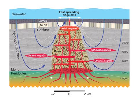 A schematic illustration of crustal formation beneath fast-spreading ...