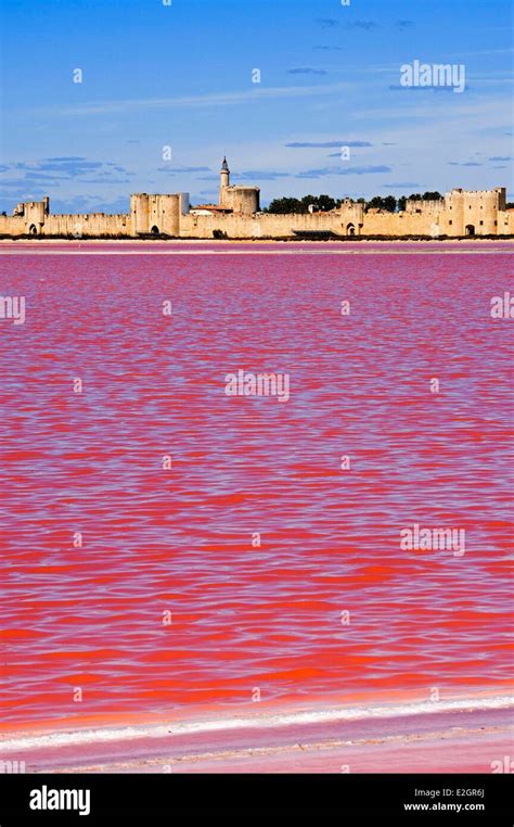 France Gard Aigues Mortes Compagnie des Salins du Midi which exploits salt marsh of Aigues ...