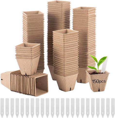 The 7 Best Biodegradable Pots of 2022