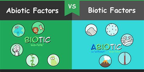 Difference between Abiotic and Biotic Factors – Bio Differences