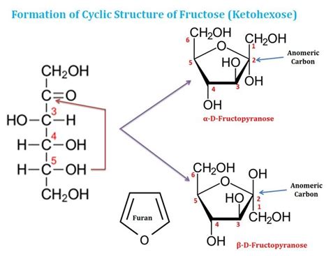 Monosaccharide Chemical Structure