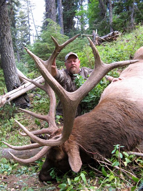 Elk Hunting Trips, Rifle, Archery Big Bull Elk Hunts