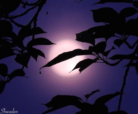 Moon Photography: Purple Moon Light | Etsy | Moon photography ...