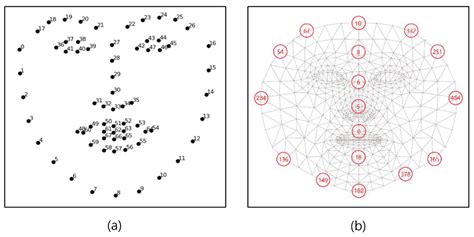 Sensors | Free Full-Text | Assessment of ROI Selection for Facial Video ...