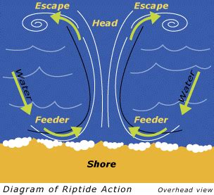 Anatomy of a rip current — Dr. Beach