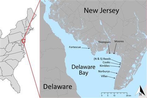 Delaware Bay map showing the locations of the beaches where interviews ...