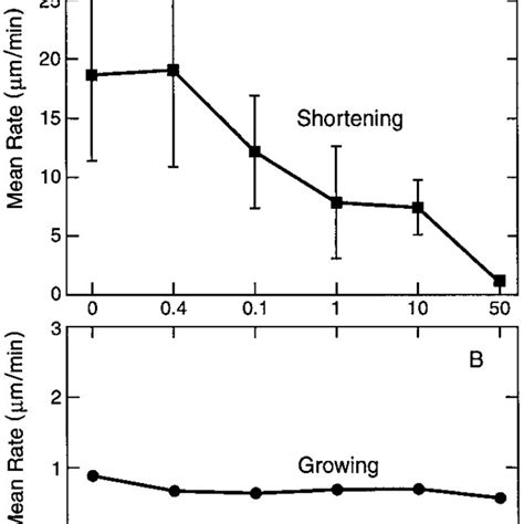 Effects of dicoumarol on the shortening (A) and growing (B) rates of ...