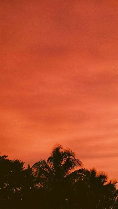 Ой ♥️ | Corazon | ВКонтакте | Orange wallpaper, Orange aesthetic, Nature photography