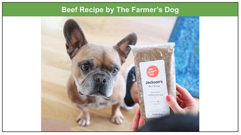 The Farmer’s Dog Food Ingredients 2023: A Complete Analysis