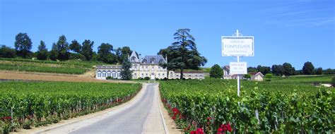 Chateau saint emilion - chateau u montellier