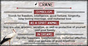 Crane Meaning and Symbolism | The Astrology Web